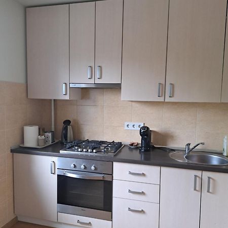 Welcoming Apartment Anykščiai Eksteriør bilde